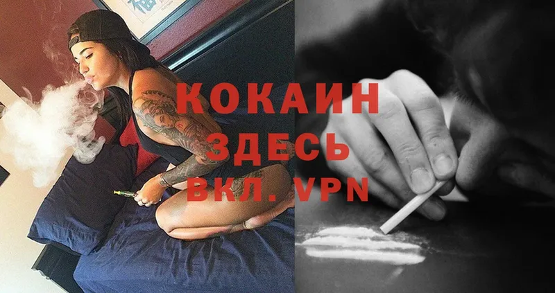 Cocaine FishScale  Торжок 